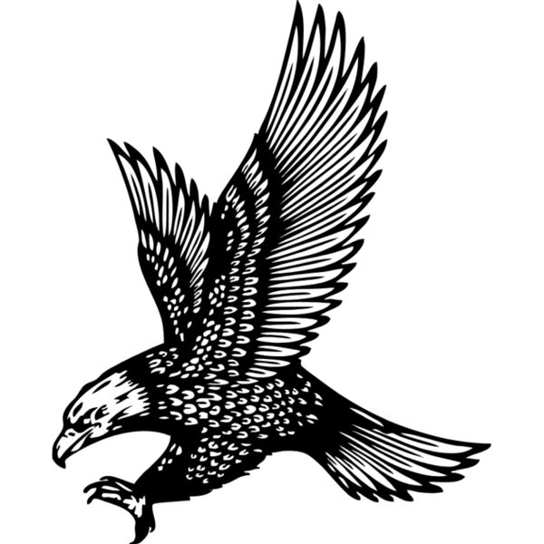 Swooping Eagle Thumbnail